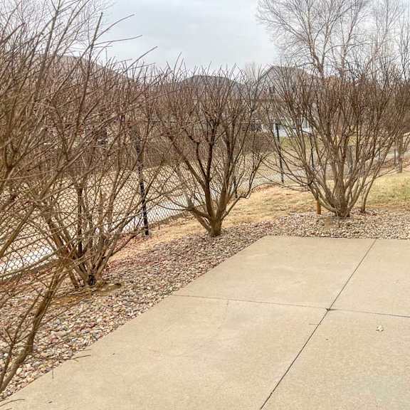 Thumbnail 2 of 18 a concrete patio surrounded by bushes for extra privacy