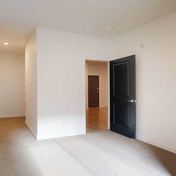 Thumbnail 22 of 28 a bedroom with a long walk-in closet and carpeted flooring
