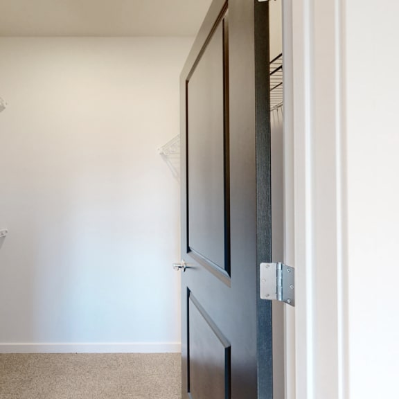 Thumbnail 15 of 15 a walk in closet in a 555 waverly unit