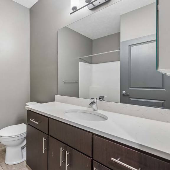Thumbnail 14 of 15 Modern apartment bathroom with a single-sink vanity, dark wood cabinetry, a large mirror, and neutral finishes.
