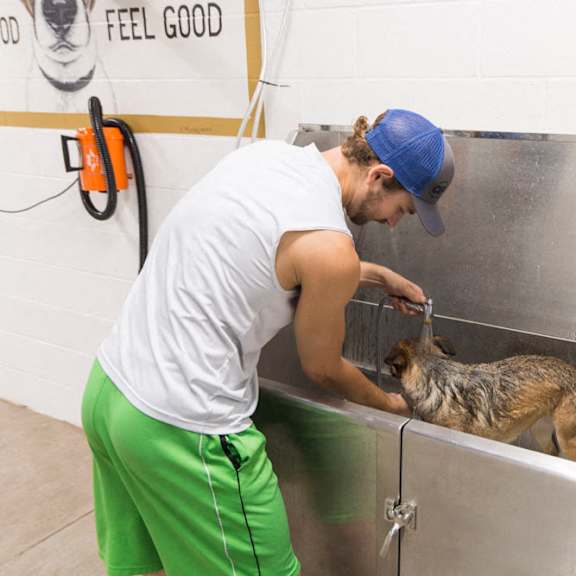 pet-wash station at the conrad near unmc in the blackstone district omaha ne 68105