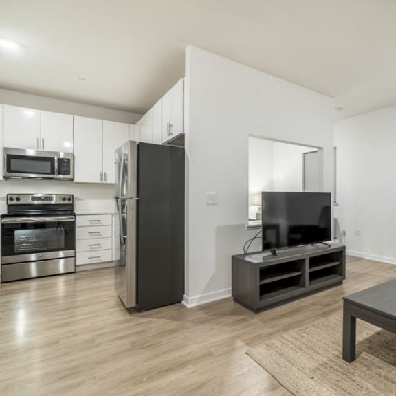 Thumbnail 4 of 8 Studio apartment for rent with view of living room and kitchen in contemporary design near UNMC Omaha