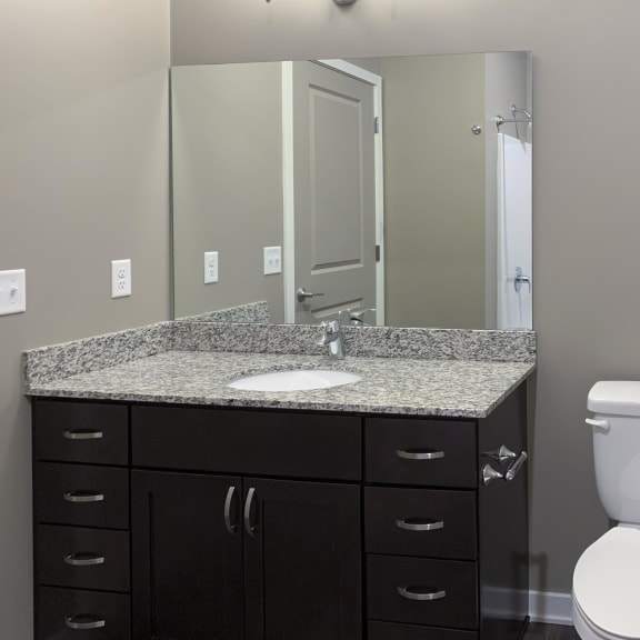 Thumbnail 15 of 16 Dark brown vanity and mirror in the bathroom of the plum studio