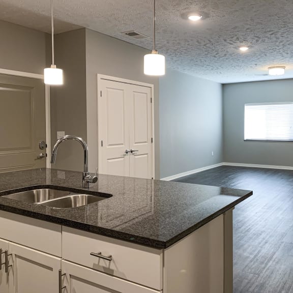 Thumbnail 5 of 20 View of the living and dining area from the kitchen of the buffalo floorplan