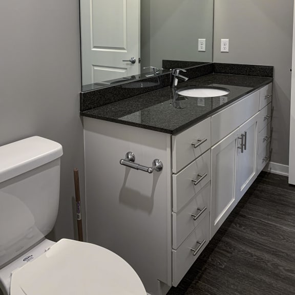Thumbnail 12 of 20 Bathroom with large white vanity and mirror in the buffalo floorplan