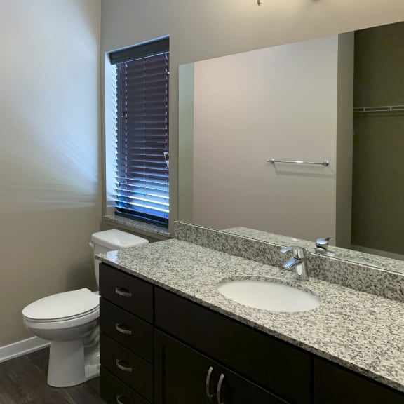 Thumbnail 15 of 15 Bathroom with dark brown vanity and large mirror