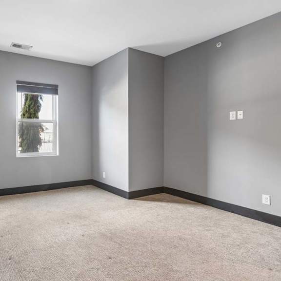 Thumbnail 31 of 46 Neutral apartment bedroom with soft gray walls, beige carpeting, dark baseboards, and a single window overlooking trees.