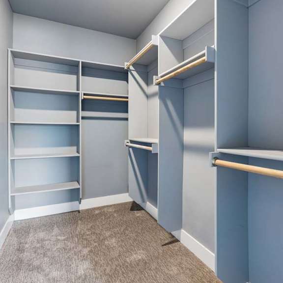 Thumbnail 35 of 46 Walk-in closet maximizes storage with built-in shelving, hanging rods at varied heights, gray finishes, and soft carpeting.