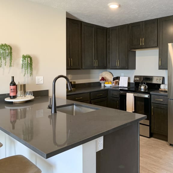 Thumbnail 3 of 24 a kitchen with black cabinets and stainless steel appliances