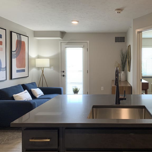 Thumbnail 6 of 24 a kitchen with a sink and a couch in the background