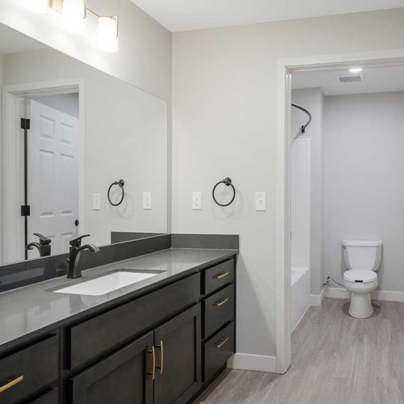 Thumbnail 25 of 29 a dual door bathroom with a vanity sink, a tub and shower, and a toilet with a door between for privacy