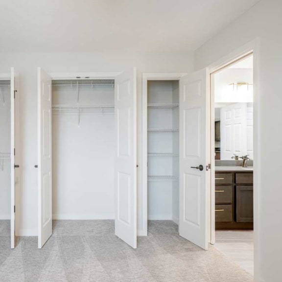 Thumbnail 23 of 29 a bedroom with a double reach-in closet and a linen closet