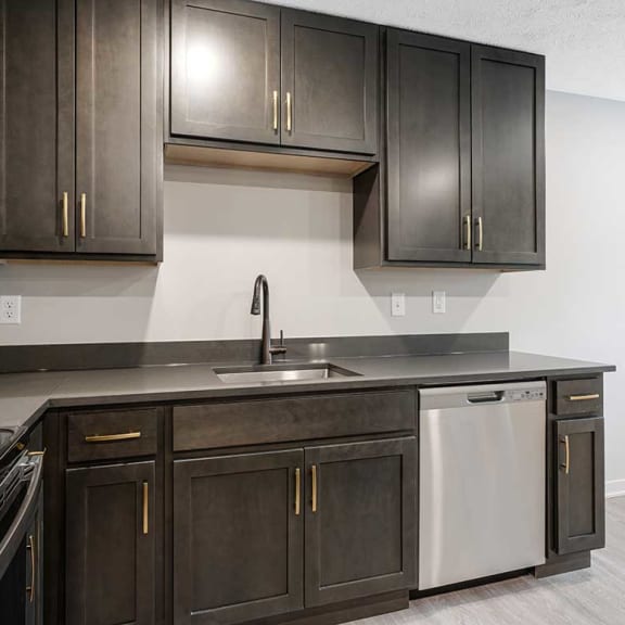 Thumbnail 11 of 29 a kitchen witha drop-in sink, a stainless steel dishwasher, and dark cabinets