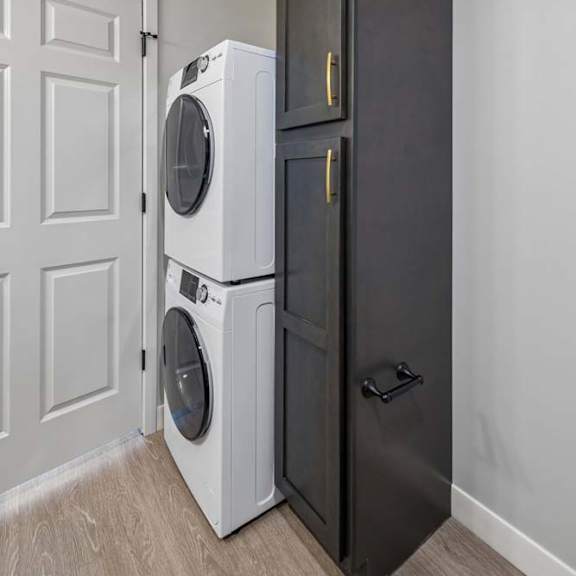 Thumbnail 41 of 52 Stacked front-load washer and dryer beside a tall dark storage cabinet in a bright apartment laundry closet with a paneled door and light flooring.