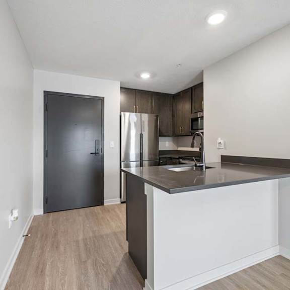 Thumbnail 45 of 52 Open-concept apartment kitchen with dark cabinetry, a peninsula breakfast bar, stainless steel appliances, and wood-style flooring extending into the living area.