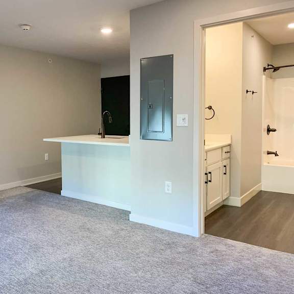 Thumbnail 21 of 25 a studio living area next to a kitchen counter and bathroom