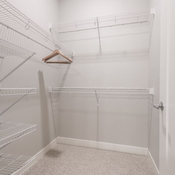 Thumbnail 18 of 18 Walk in closet with 2 levels of wire racks