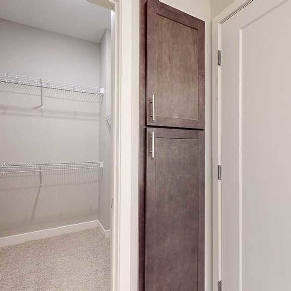 Thumbnail 23 of 29 A linen closet next to a walk-in closet.