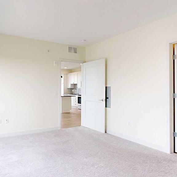Thumbnail 21 of 26 Bright, empty room with beige carpet and off-white walls, large window on the left. An open door leads to a kitchen with wood flooring.