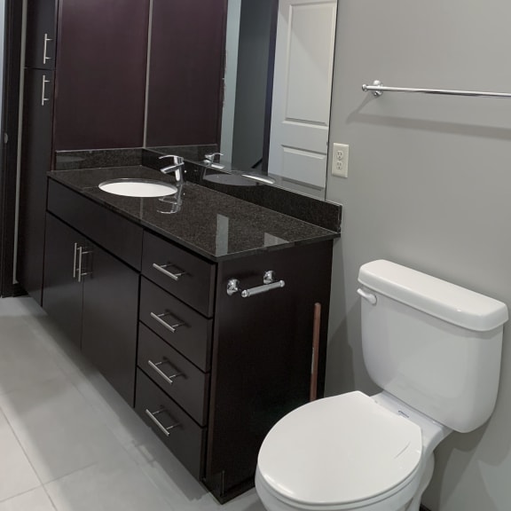 Thumbnail 18 of 23 Bathroom with dark brown vanity and linen closet and large mirror