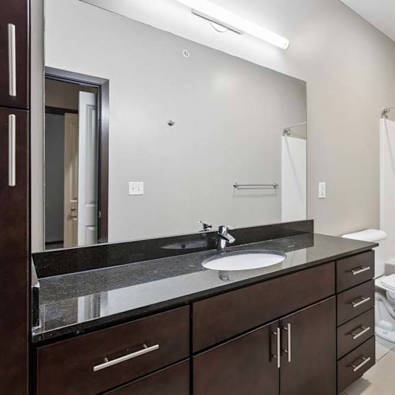 Thumbnail 11 of 14 Bright bathroom with a single-sink vanity, dark cabinetry, large mirror, and adjacent tub-shower area in an apartment home.