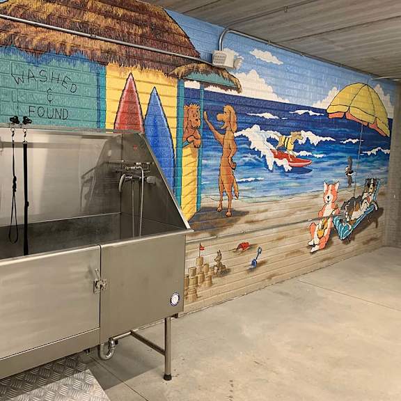 a stainless steel dog wash in front of a beach mural