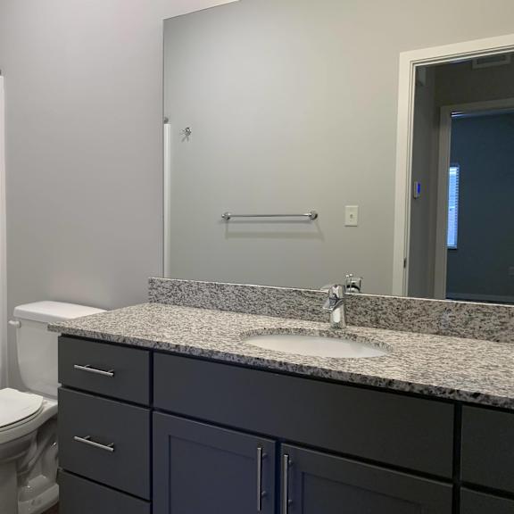bathroom with slate gray vanity and linen cabinet for storage and large mirror