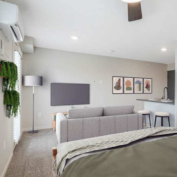 Thumbnail 13 of 25 Studio living/bedroom with a bed, a couch, a television, and a potted plant