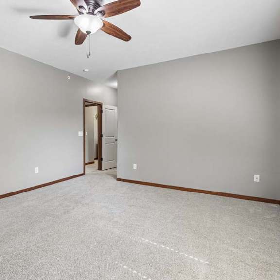 Thumbnail 11 of 16 Spacious, empty apartment bedroom with neutral carpet, gray walls, wood trim, and a ceiling fan with light.
