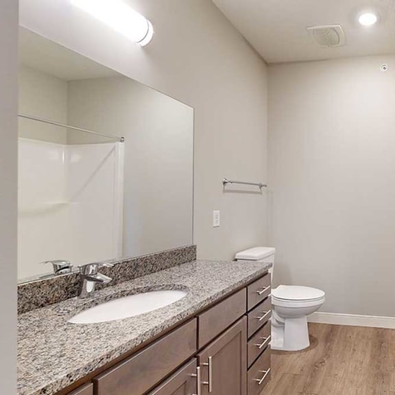 Thumbnail 19 of 29 a bathroom with a walk-in shower, a large vanity sink, and built-in shelving