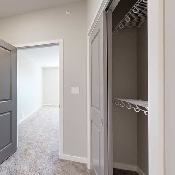 Thumbnail 21 of 29 a walk-through closet attached to the primary bedroom