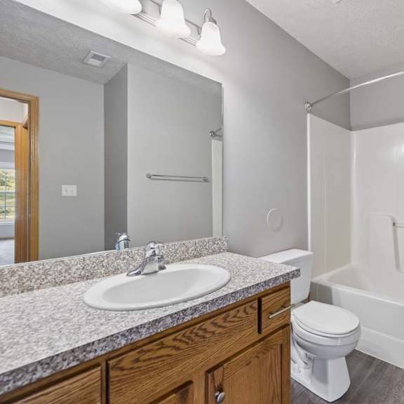 Thumbnail 10 of 13 Bright apartment bathroom with a single-sink vanity, tub and shower combination, large mirror, and wood cabinetry.
