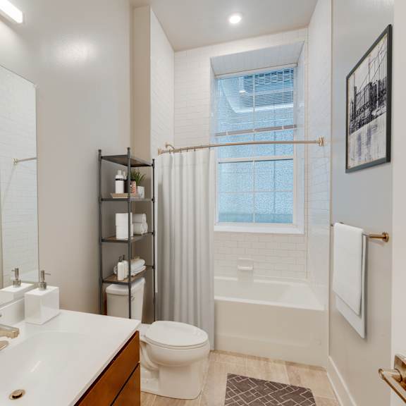 bathroom decorated