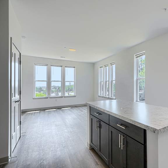 a kitchen with black cabinets and a marble countertop.