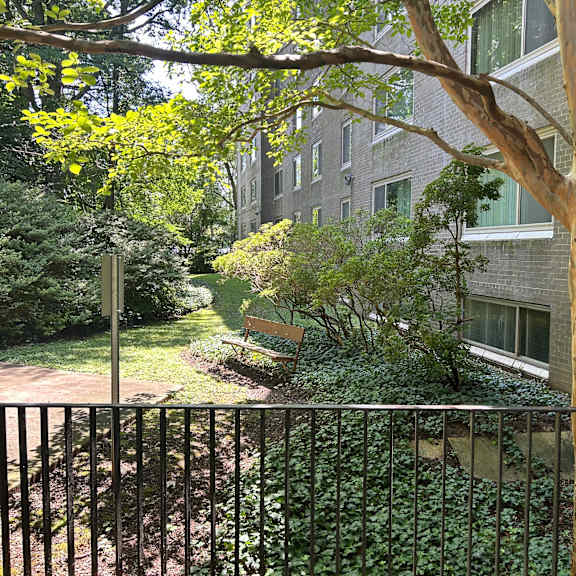 a tree in front of a building with a fence in the foreground.