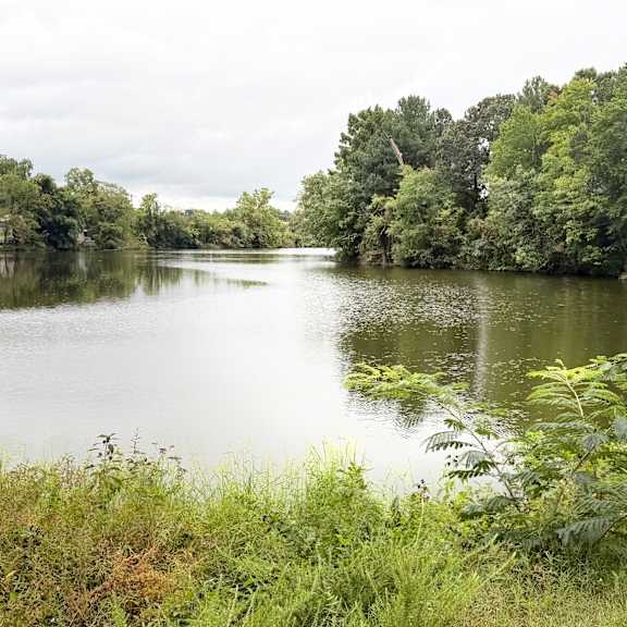 a serene lake surrounded by lush greenery and trees.