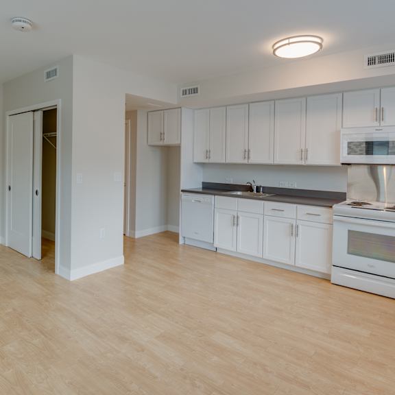 studio interior with kitchen and closet space