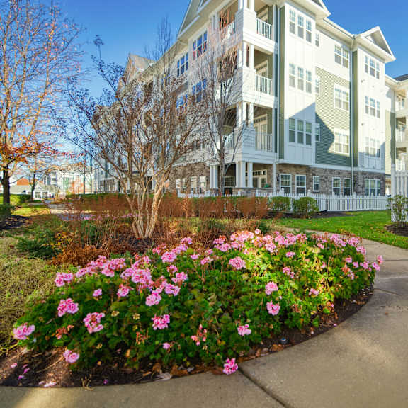 a sidewalk with flowers in front of an apartment building
