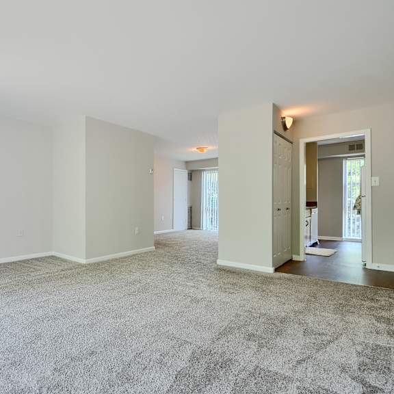 a room with a carpeted floor and a green cabinet.