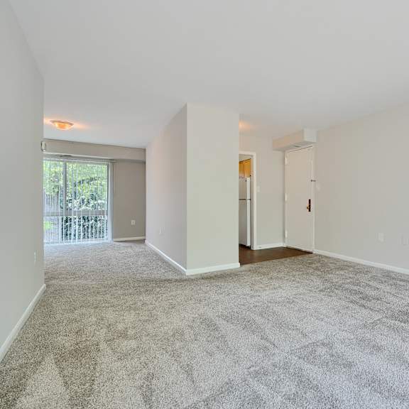 a large, empty room with a carpeted floor and white walls.