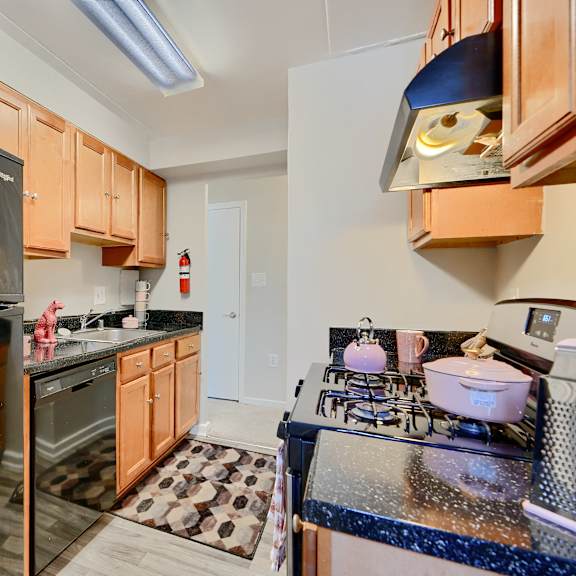 a kitchen with a black fridge, wooden cabinets, and a stove top oven.