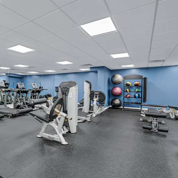 a gym with cardio equipment and weights on the floor and a blue wall