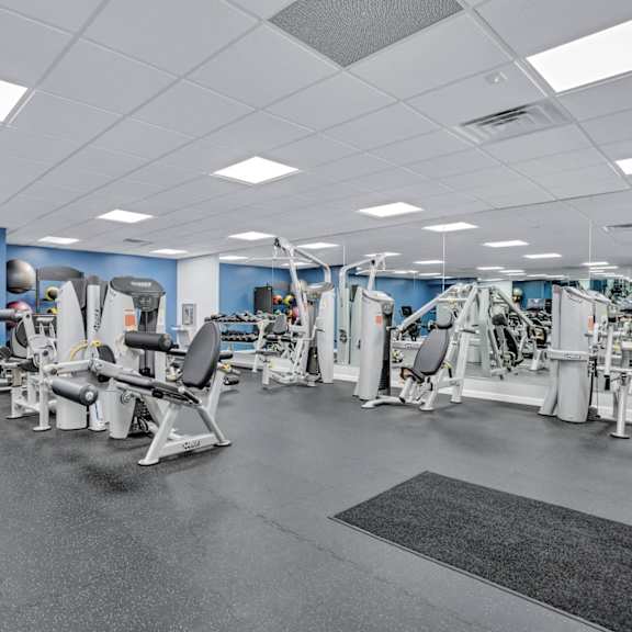 a gym with weights and cardio machines and a blue wall