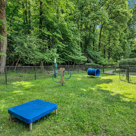a fenced in dog park with a blue bench and trampoline