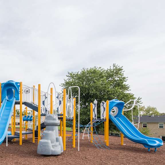 a playground with a blue and yellow slide.