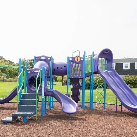 a playground with a purple slide and a green climbing frame.