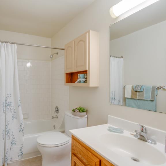 a white toilet sits next to a white sink in a bathroom.