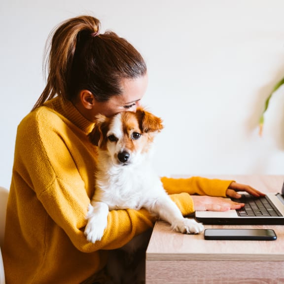 a woman sitting at a desk with a dog and a laptop