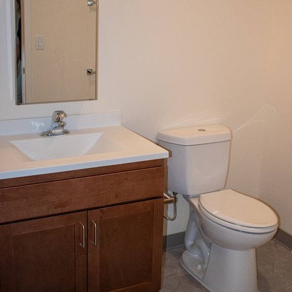 a bathroom with a toilet and a sink and a mirror