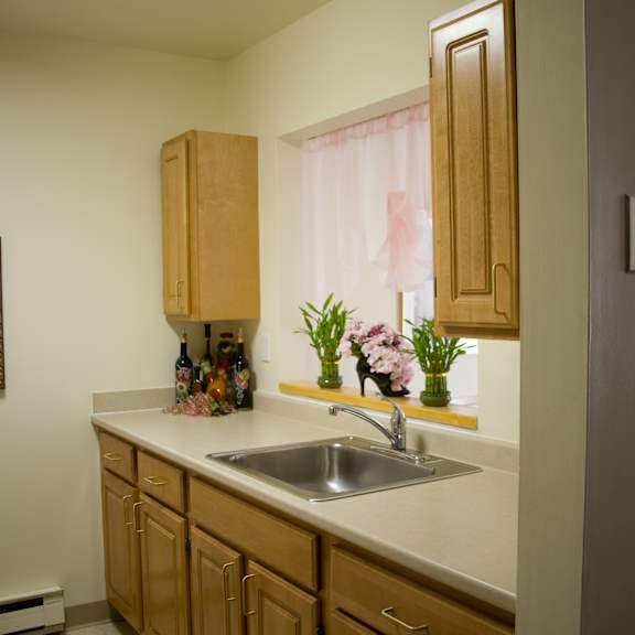 a small kitchen with a sink and wooden cabinets